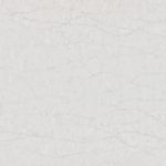 Eternal Pearl Jasmine