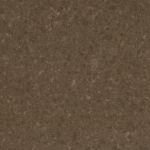 Wild Rice Caesarstone - Wild Rice